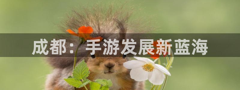 雷火电竞开奖预测网站刘伯温：成都：手游发展新蓝海