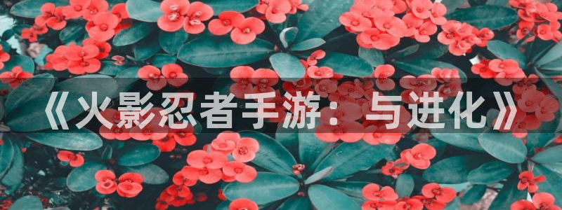 雷火电竞开奖官网查询中奖号码：《火影忍者手游：与进化》