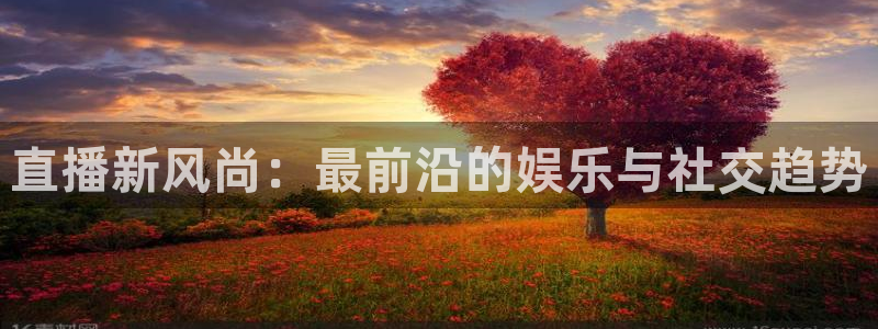 足球直播免费观看直播178：直播新风尚：最前沿的娱乐与社交趋势