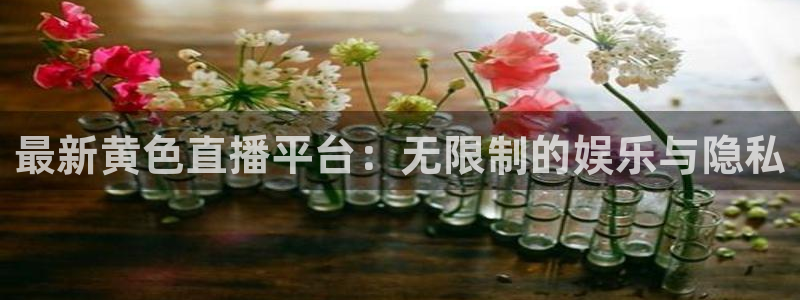 178篮球赛事直播nba：最新黄色直播平台：无限制的娱乐与隐私