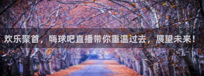 nba178在线直播：欢乐聚首，嗨球吧直播带你重温过去，展望未来！