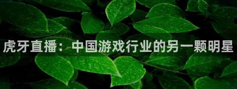 178体育直播官网版下载安装：虎牙直播：中国游戏行业的另一颗明星