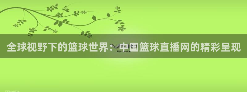 nba直播178：全球视野下的篮球世界：中国篮球直播网的精彩呈现