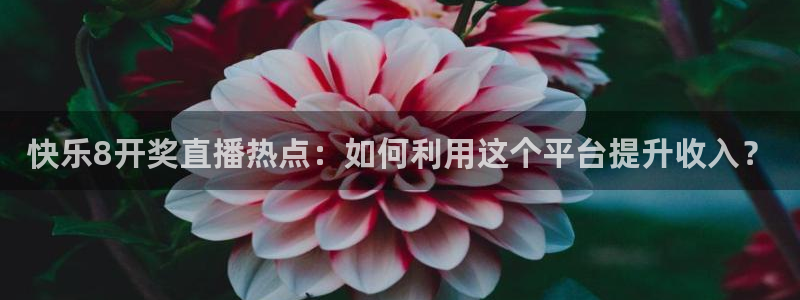 178篮球直播nba回放：快乐8开奖直播热点：如何利用这个平台提升收入？