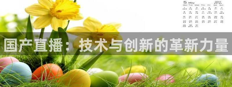 178直播体育在线：国产直播：技术与创新的革新力量