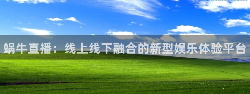 178足球直播360高清直播：蜗牛直播：线上线下融合的新型娱乐体验平台