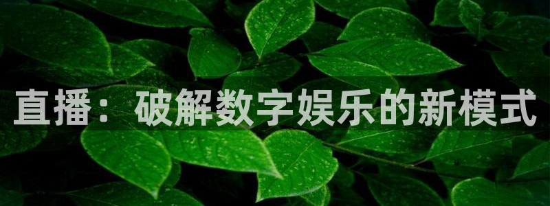 178直播足球比赛：直播：破解数字娱乐的新模式