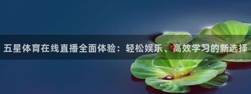 足球直播 178：五星体育在线直播全面体验：轻松娱乐、高效学习的新选择