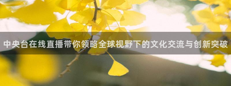 178zb2直播体育下载：中央台在线直播带你领略全球视野下的文化交流与创新突破