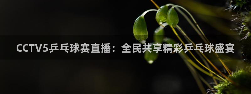 178足球直播间