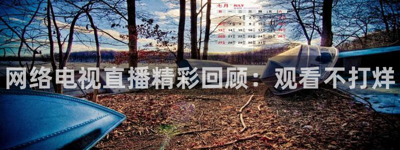 178免费直播足球：网络电视直播精彩回顾：观看不打烊