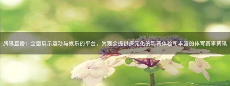 178足球比赛免费直播